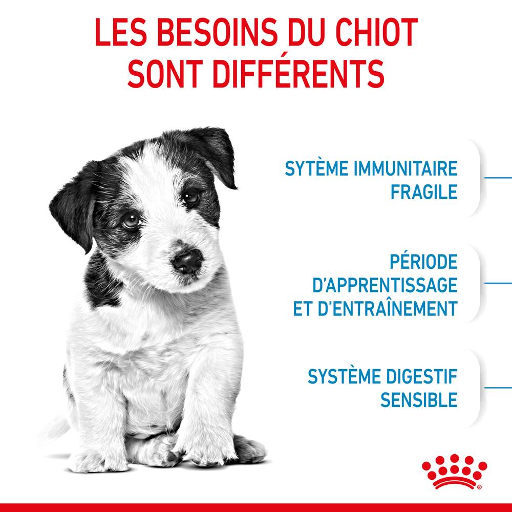 Royal Canin - Royal Canin - Croquettes pour chiot Puppy Mini 8 kg - Image 13