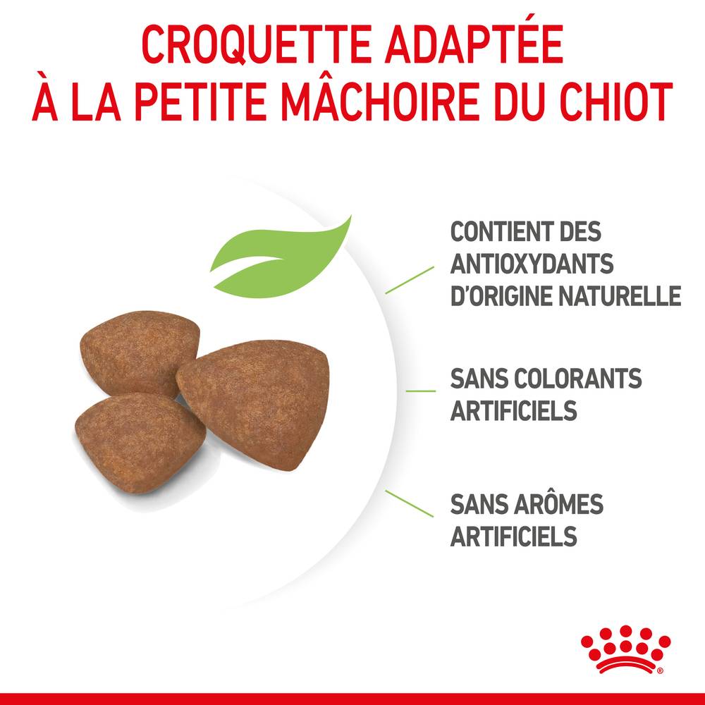Royal Canin - Royal Canin - Croquettes pour chiot Puppy Mini 8 kg - Image 16