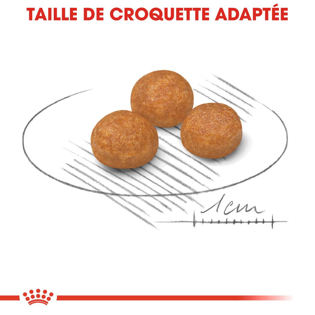 Royal Canin - Croquettes chien X-Small Adult - ROYAL CANIN - Image 2