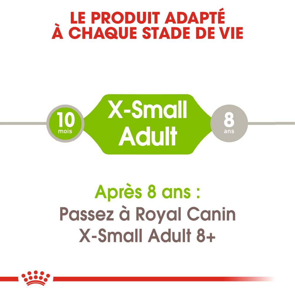Royal Canin - Croquettes chien X-Small Adult - ROYAL CANIN - Image 10