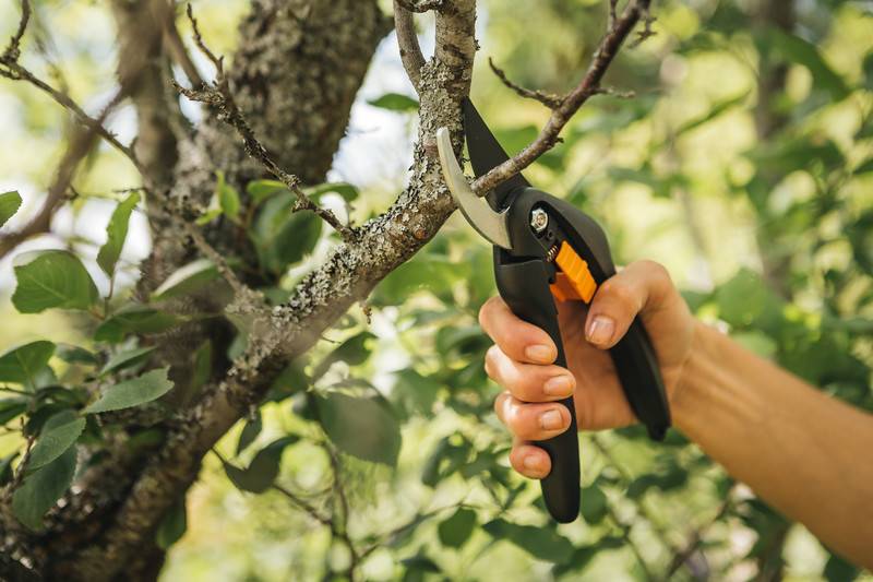 Fiskars - Fiskars - Sécateur Singlestep™ P26 à lame franche - Image 2