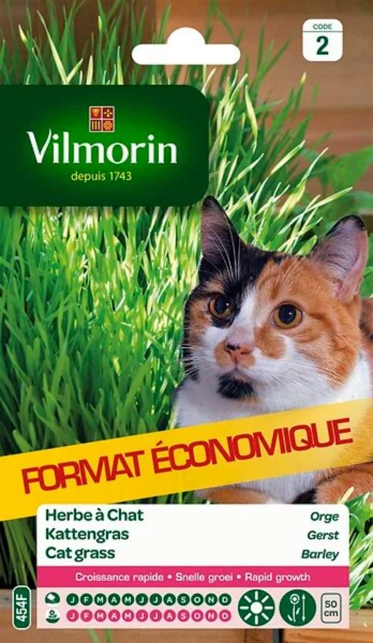 Vilmorin - Herbe a chat orge grand modèle série 2 sachet graines 30 g - Vilmorin - Image 2