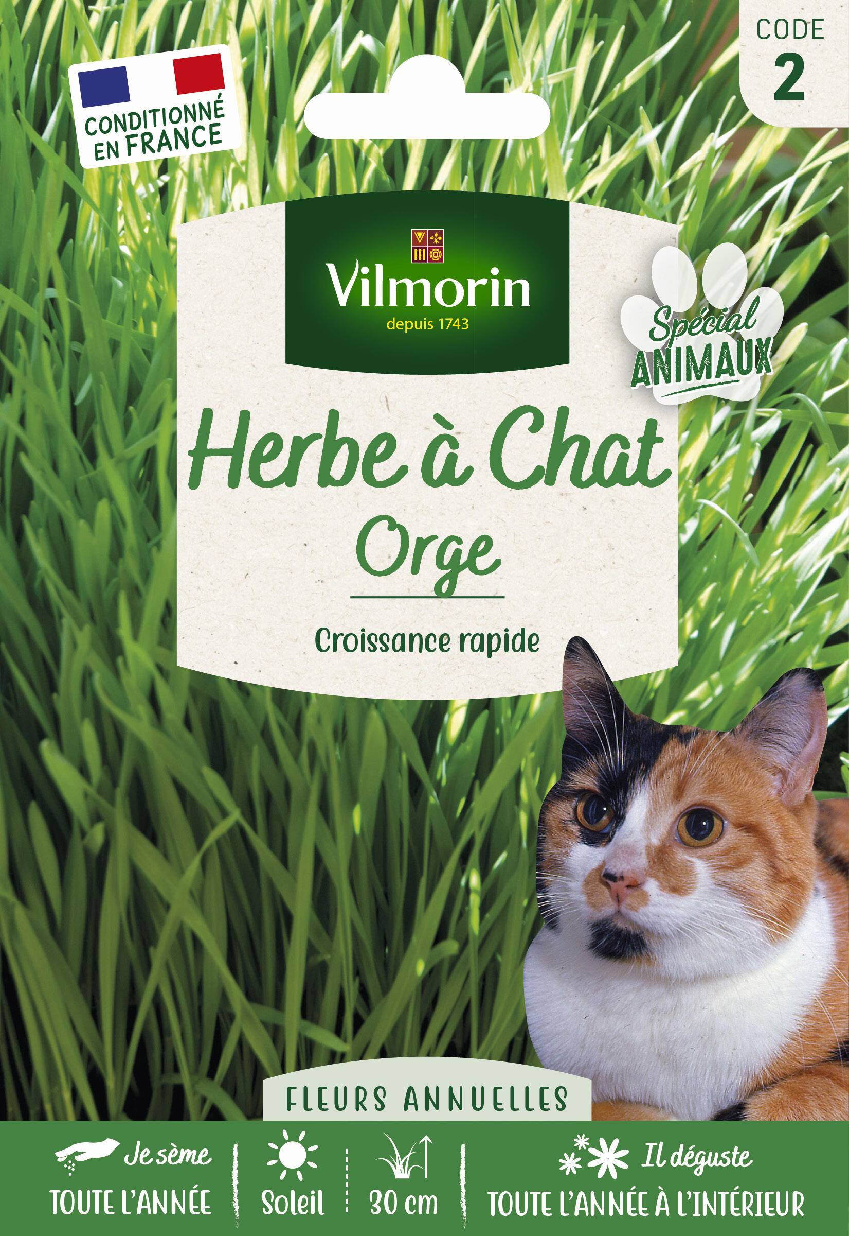 Vilmorin - Herbe a chat orge grand modèle série 2 sachet graines 30 g - Vilmorin - Image 1