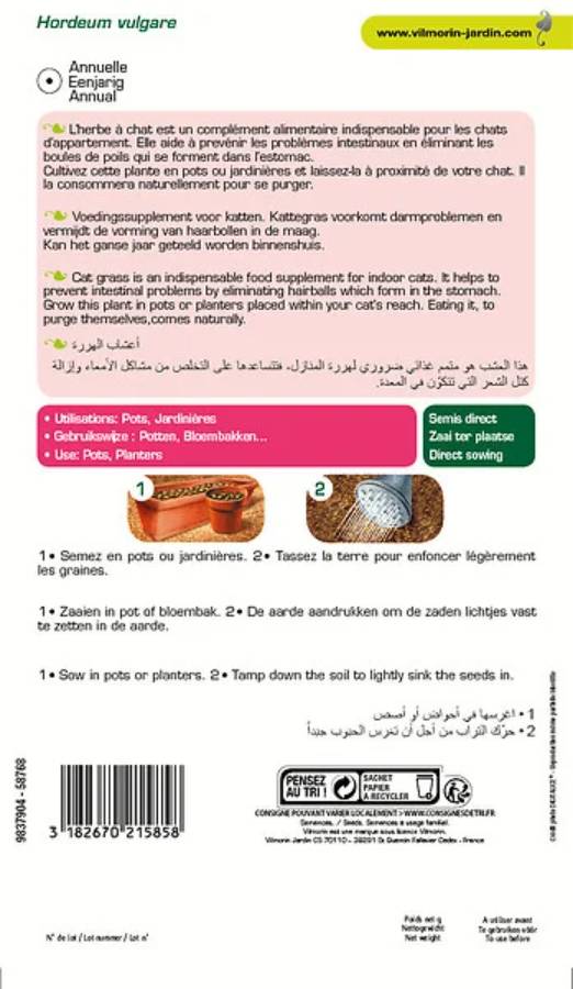 Vilmorin - Herbe a chat orge grand modèle série 2 sachet graines 30 g - Vilmorin - Image 6