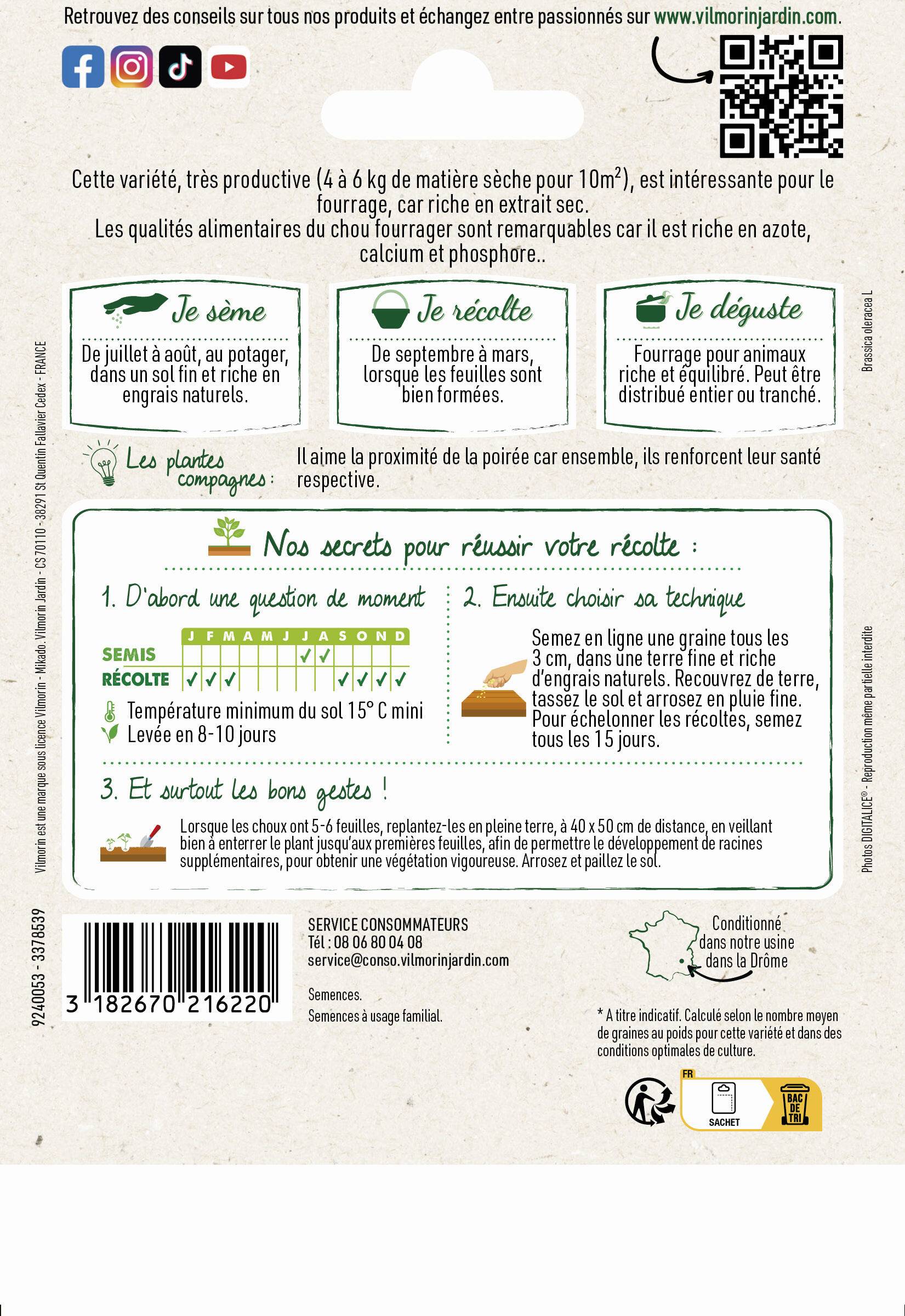 Vilmorin - Chou fourrager proteor série 2 sachet graines 25 g - Vilmorin - Image 2