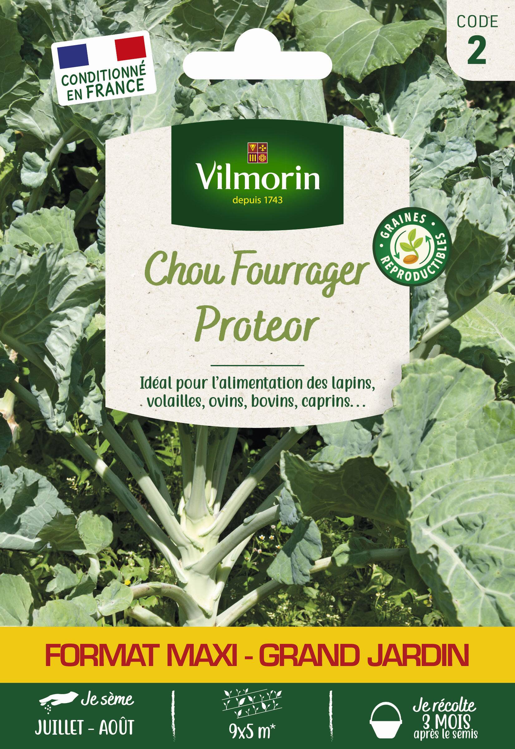 Vilmorin - Chou fourrager proteor série 2 sachet graines 25 g - Vilmorin - Image 1