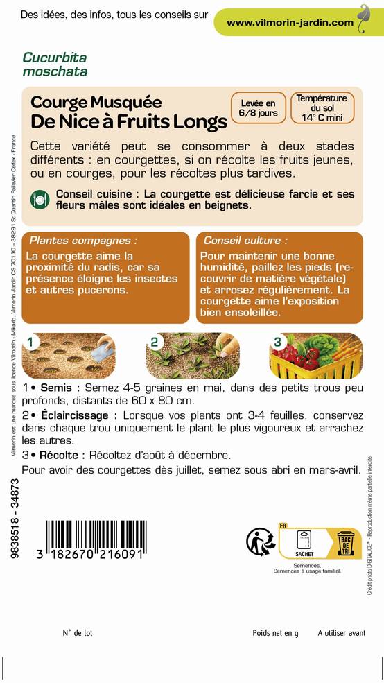 Vilmorin - Courge de Nice à fruit long série 1 sachet graines 4 g - Vilmorin - Image 3