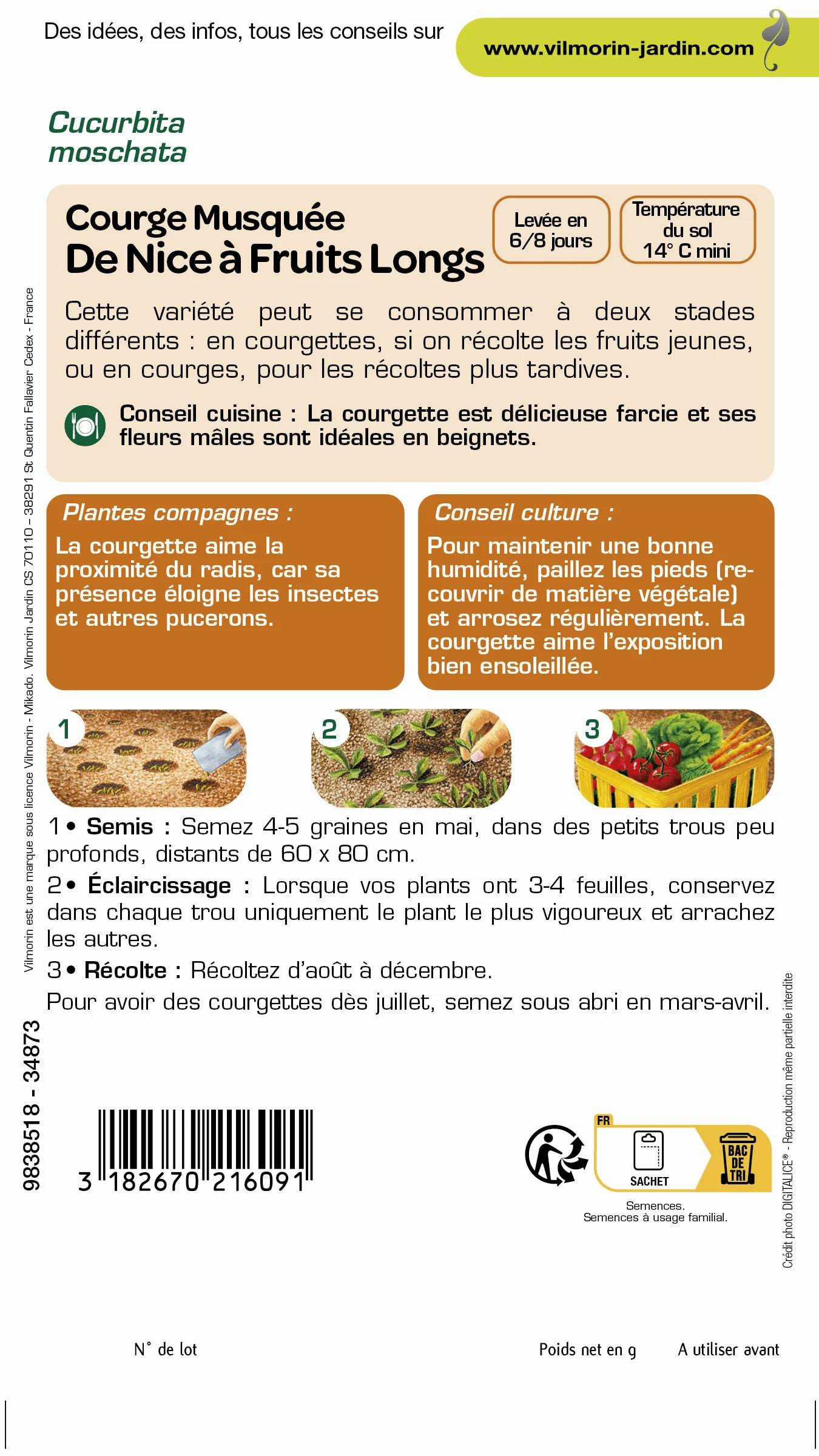 Vilmorin - Courge de Nice à fruit long série 1 sachet graines 4 g - Vilmorin - Image 3