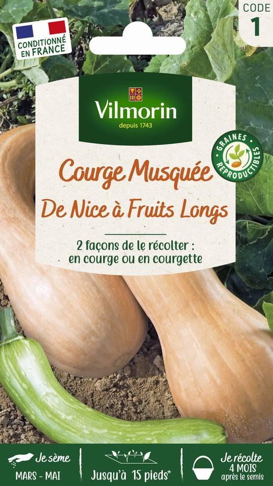 Vilmorin - Courge de Nice à fruit long série 1 sachet graines 4 g - Vilmorin - Image 2