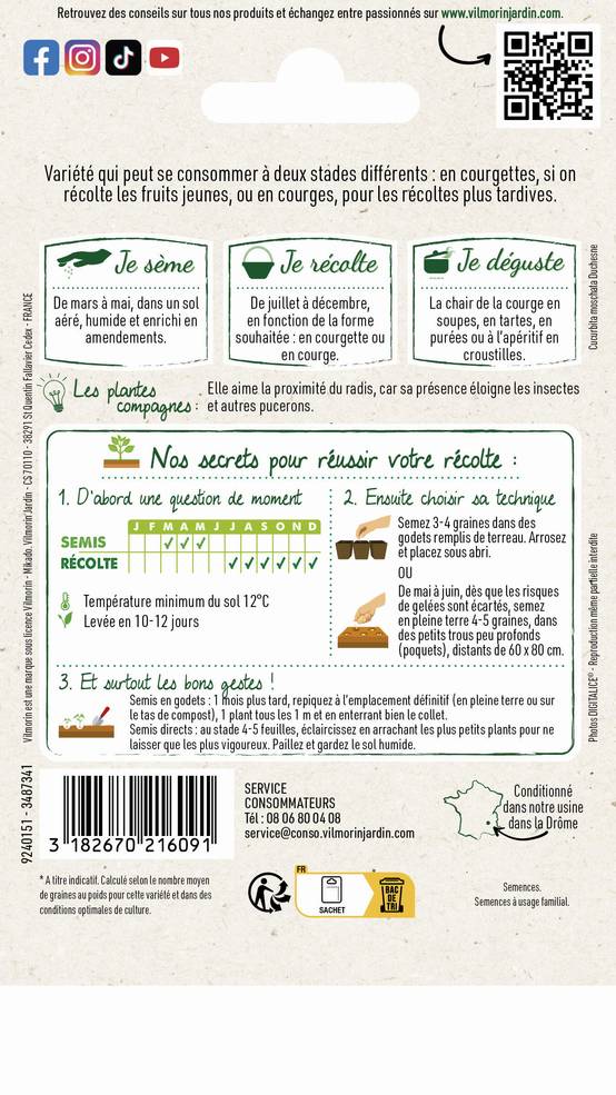 Vilmorin - Courge de Nice à fruit long série 1 sachet graines 4 g - Vilmorin - Image 4