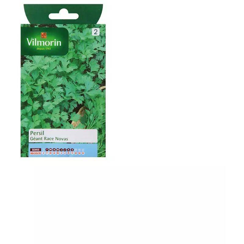 Vilmorin - Persil Gigante d'Italia race Novas serie 2 sachet graines 5 g - Vilmorin - Image 2