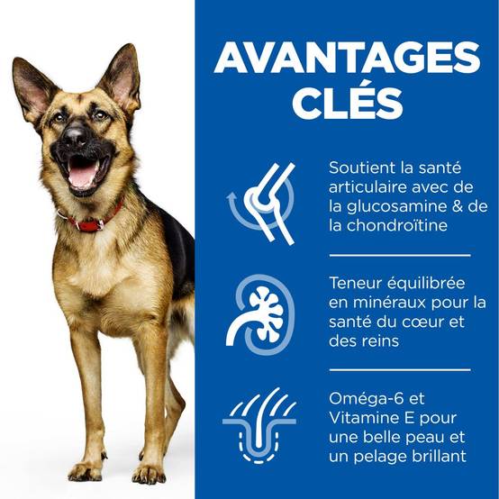 Science plan - Croquettes chien sénior - HILL'S - Image 4