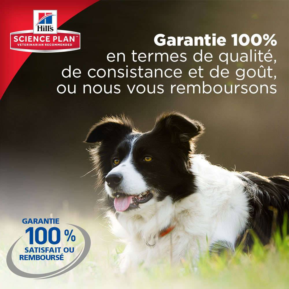Science plan - Croquettes chien sénior - HILL'S - Image 9
