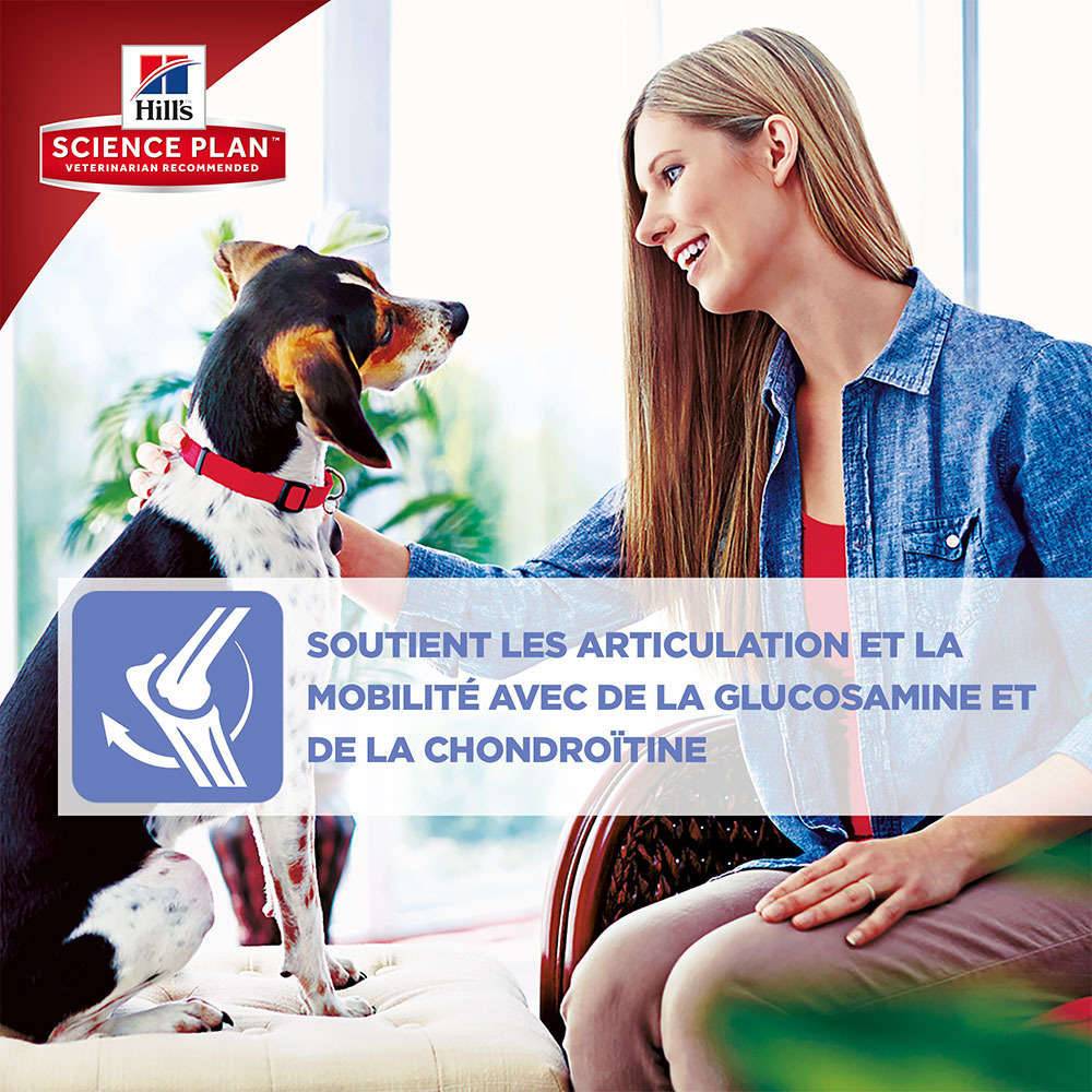 Science plan - Croquettes chien sénior - HILL'S - Image 8
