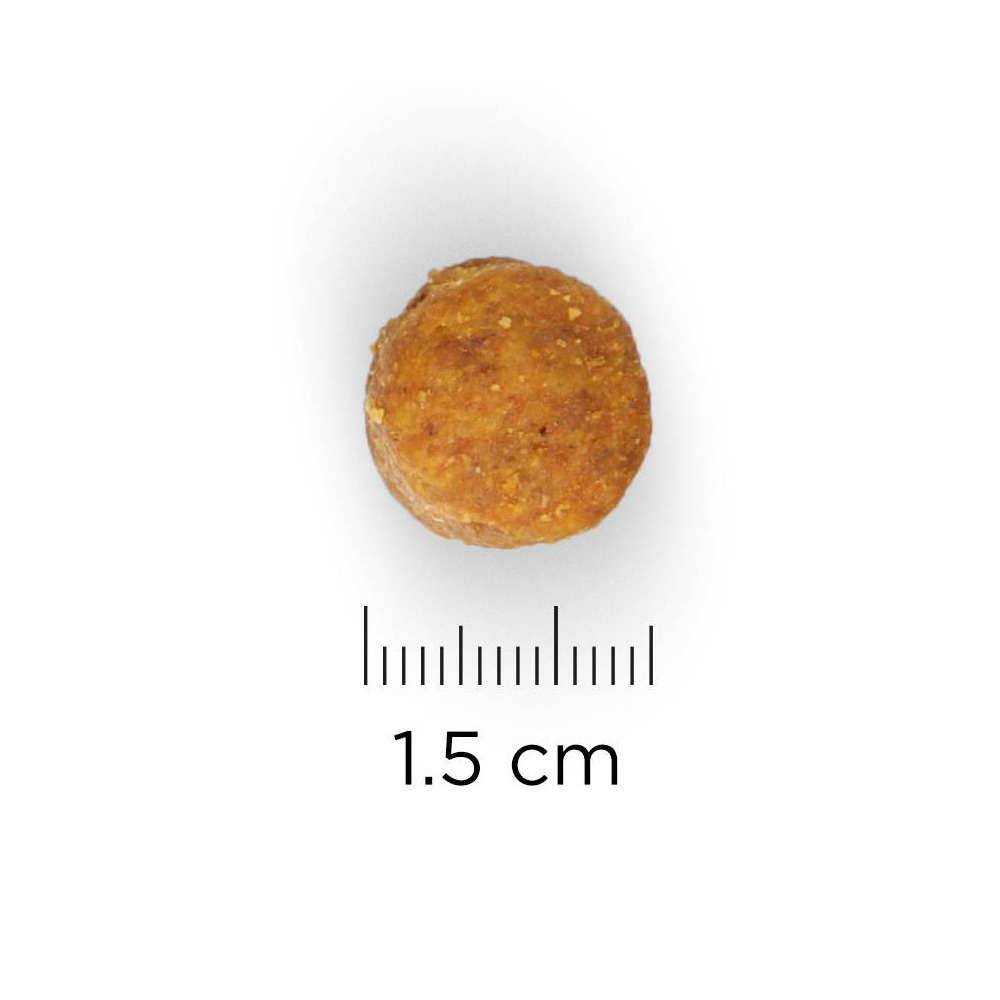 Science plan - Croquettes chien sénior - HILL'S - Image 10