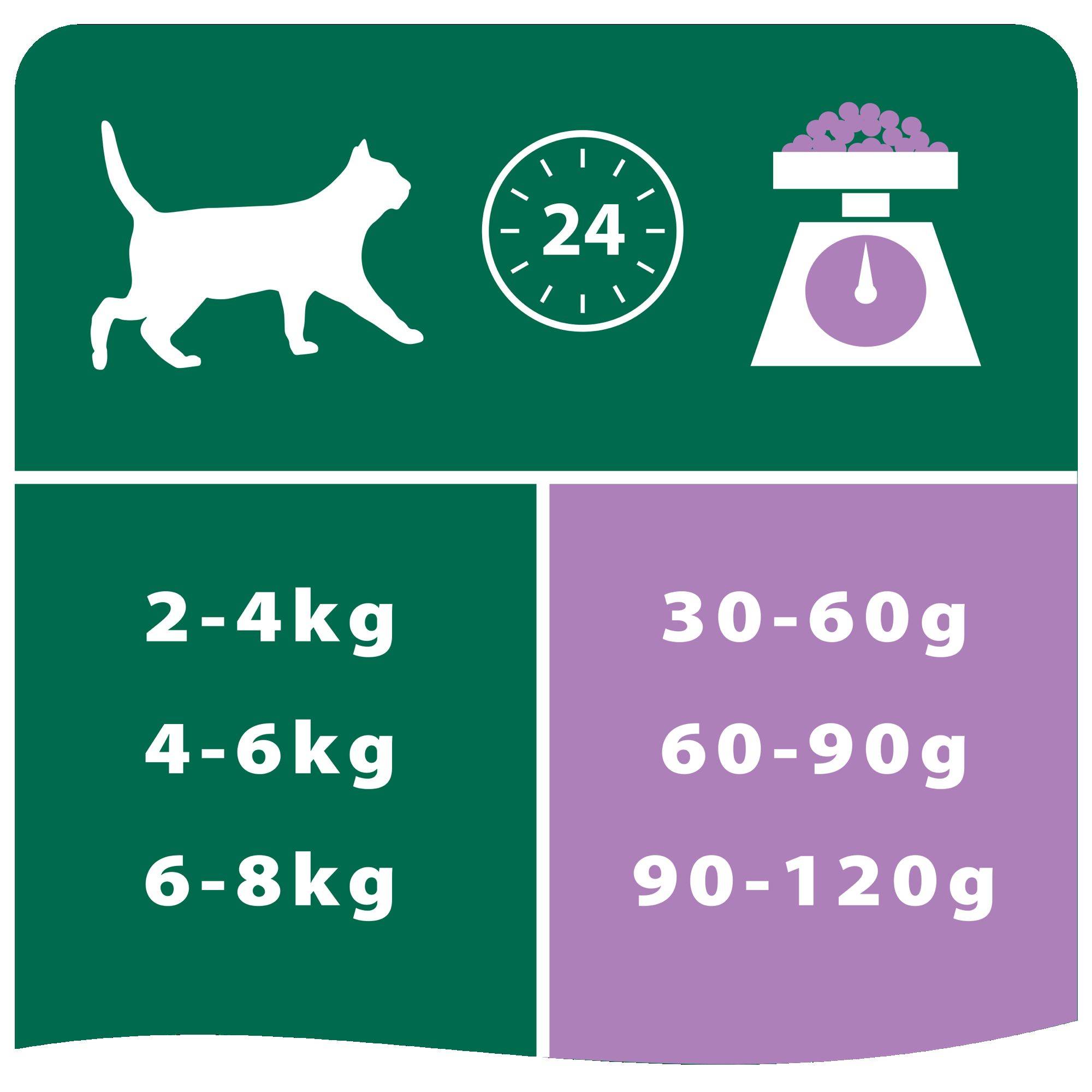 Purina Pro Plan - Croquettes chat Stérilisé Dinde 10 kg - PRO PLAN - Image 9