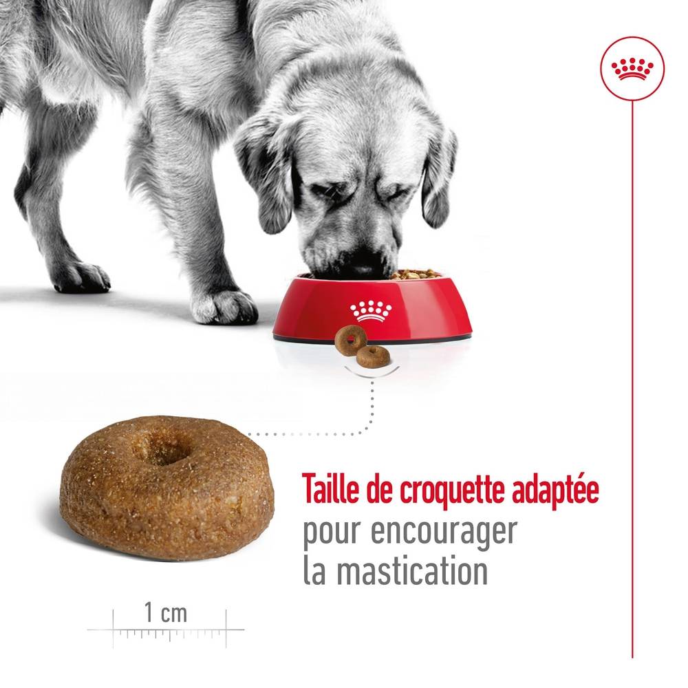 Royal Canin - Croquettes pour chien Senior Maxi Ageing 8+ - ROYAL CANIN - Image 4