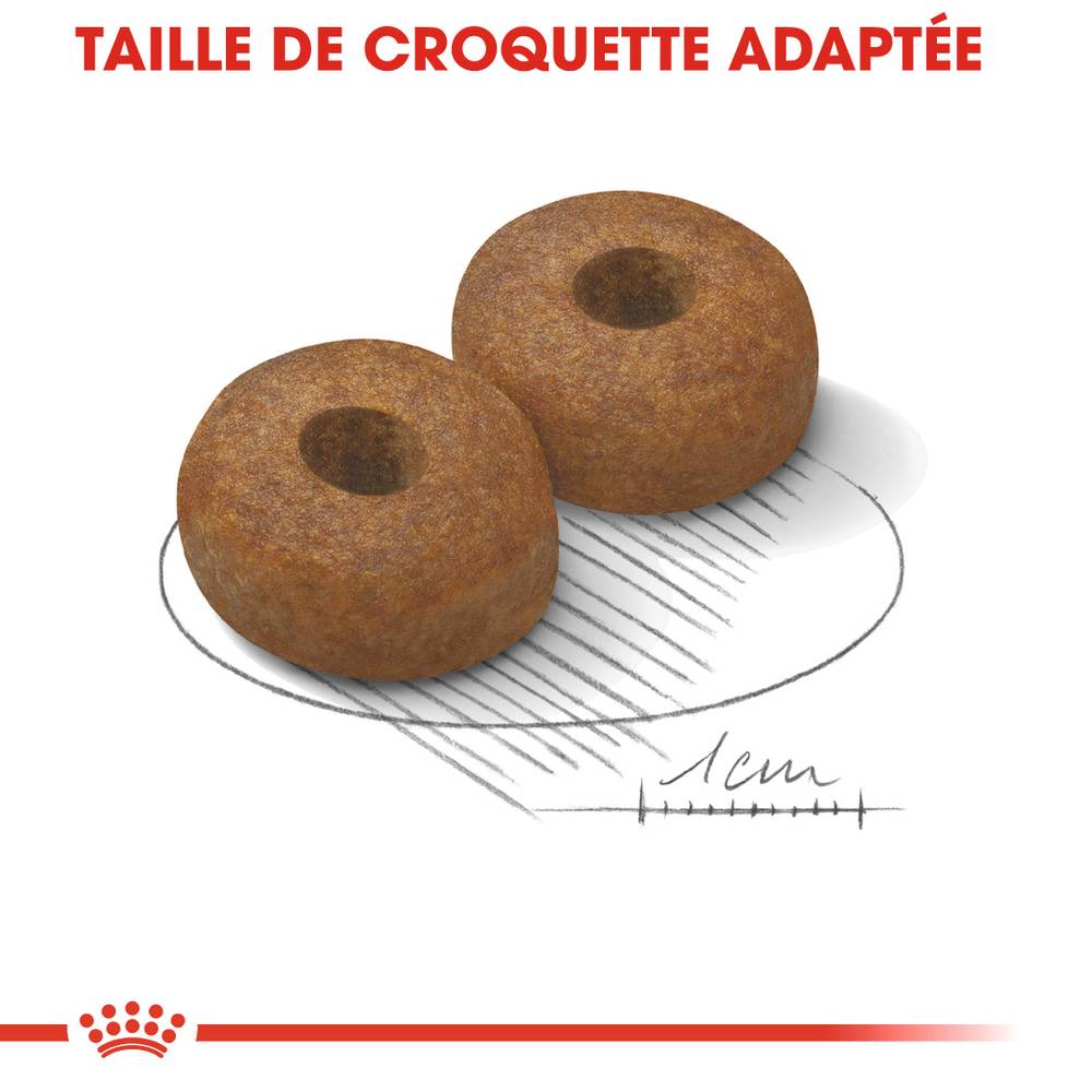 Royal Canin - Croquettes pour chien Senior Maxi Ageing 8+ - ROYAL CANIN - Image 3