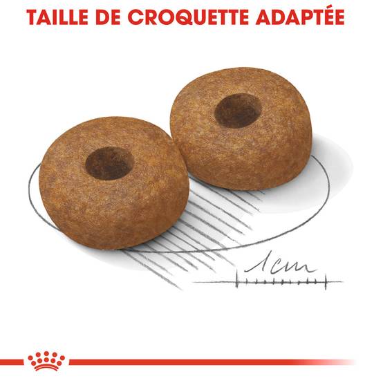 Royal Canin - Croquettes Chien Medium Senior 10+ - ROYAL CANIN - Image 5