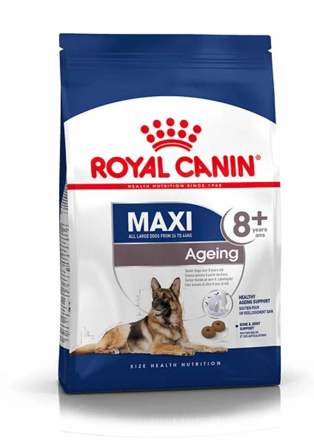 Royal Canin - Croquettes pour chien Maxi Ageing 8+ – ROYAL CANIN