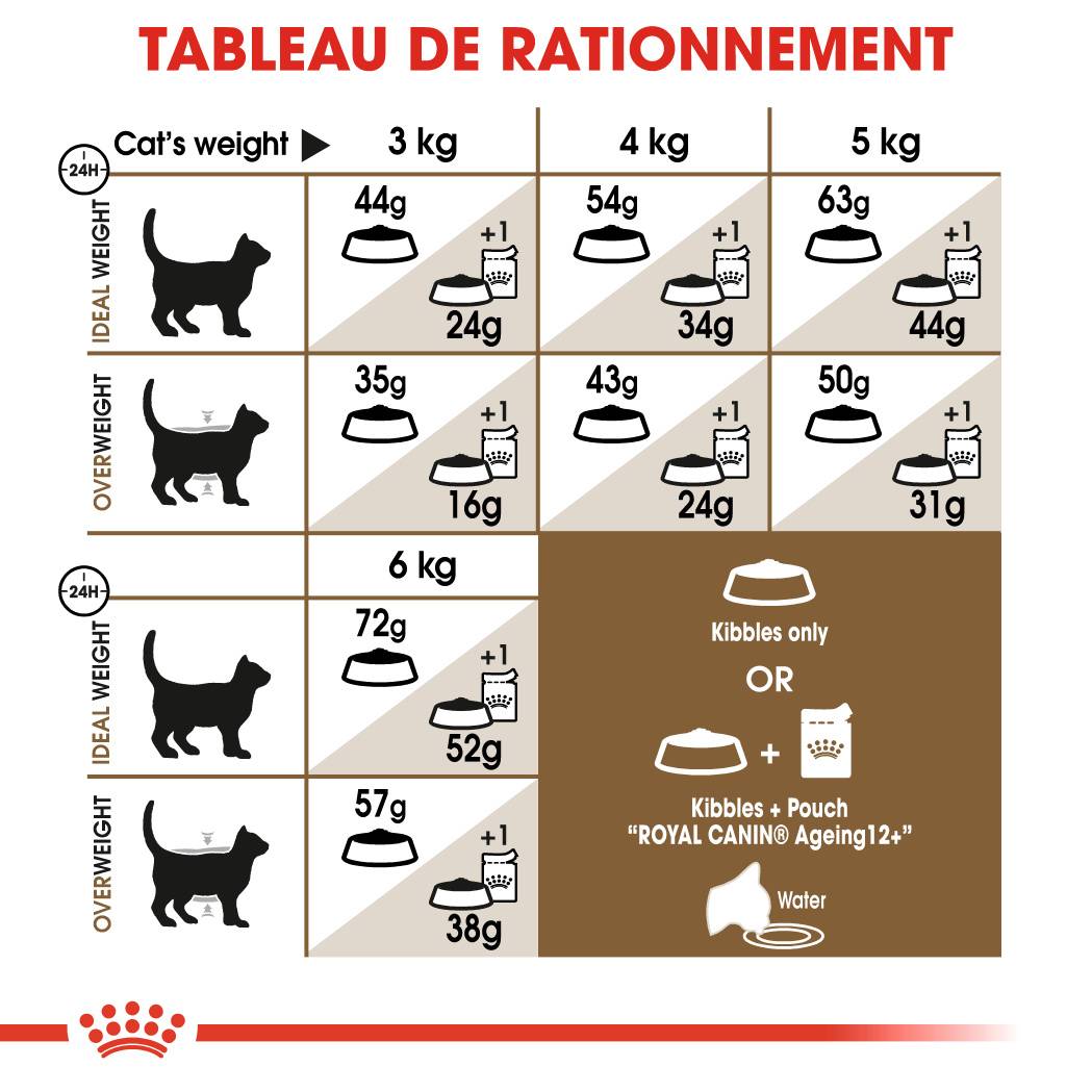 Royal Canin - Royal Canin - Croquettes pour Chat Ageing Sterilised 12+ - 4 kg - Image 8