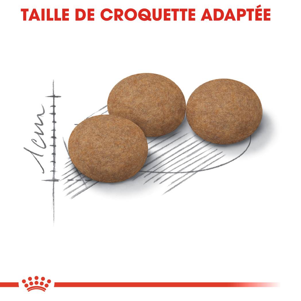 Royal Canin - Royal Canin - Croquettes pour Chat Ageing Sterilised 12+ - 4 kg - Image 7