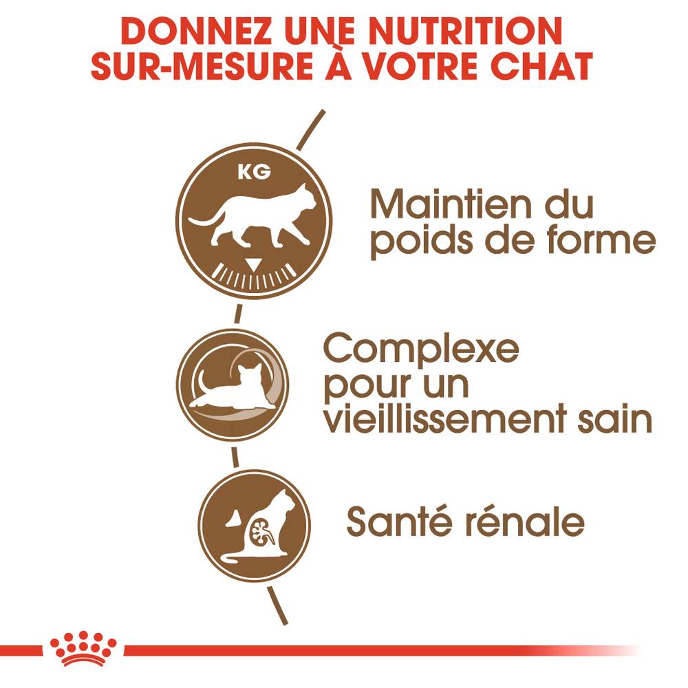 Royal Canin - Royal Canin - Croquettes pour Chat Ageing Sterilised 12+ - 4 kg - Image 10