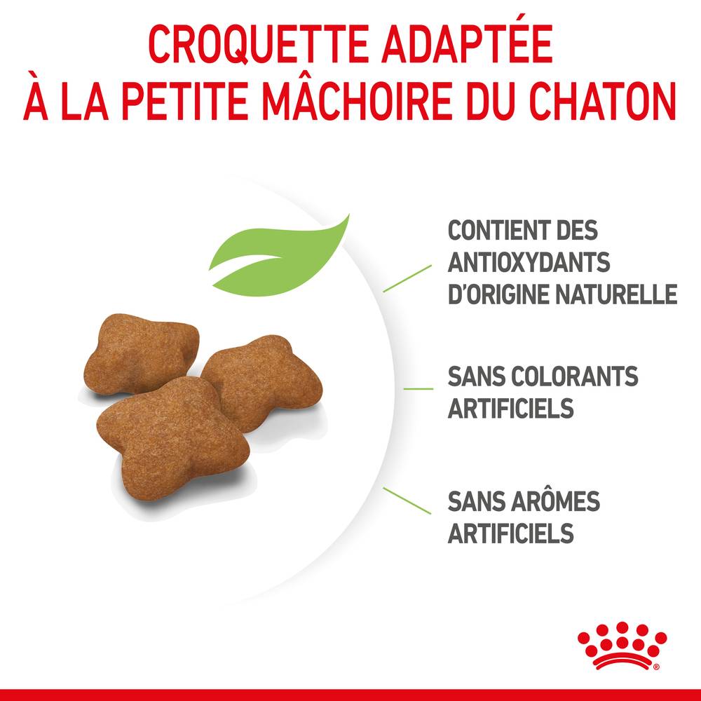 Royal Canin - Croquettes chaton stérilisé - ROYAL CANIN - Image 4