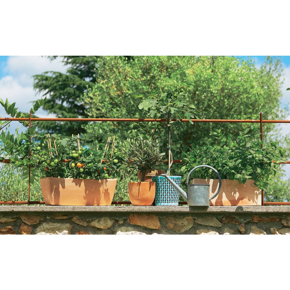 Goicoechea - Jardinière Contemporaine Terre Cuite - GOICOECHEA - Image 2