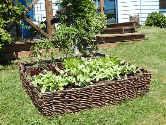 Carré potager en osier L.80xl.80xH.20cm - Image 2
