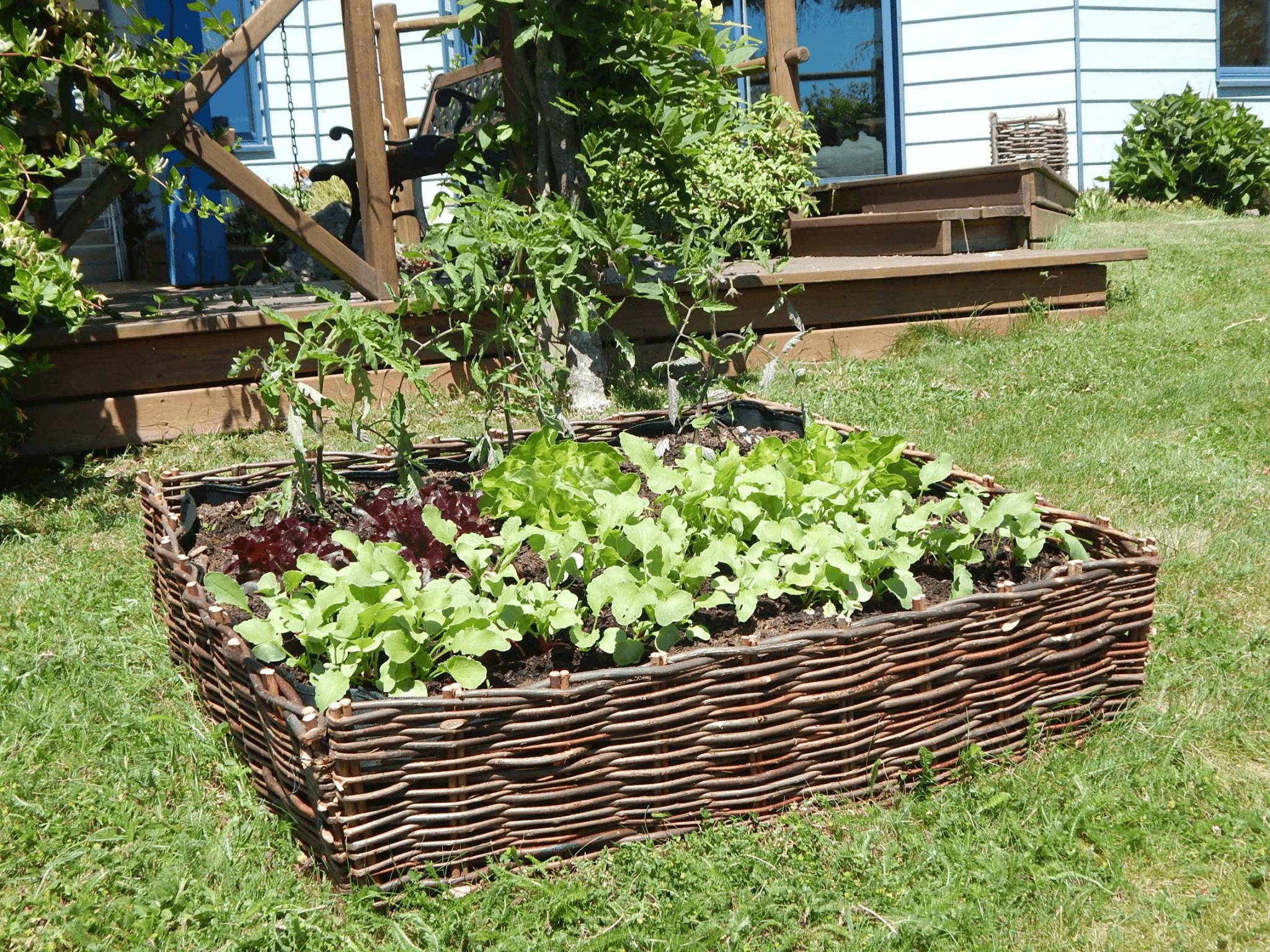 Carré potager en osier L.80xl.80xH.20cm - Image 2