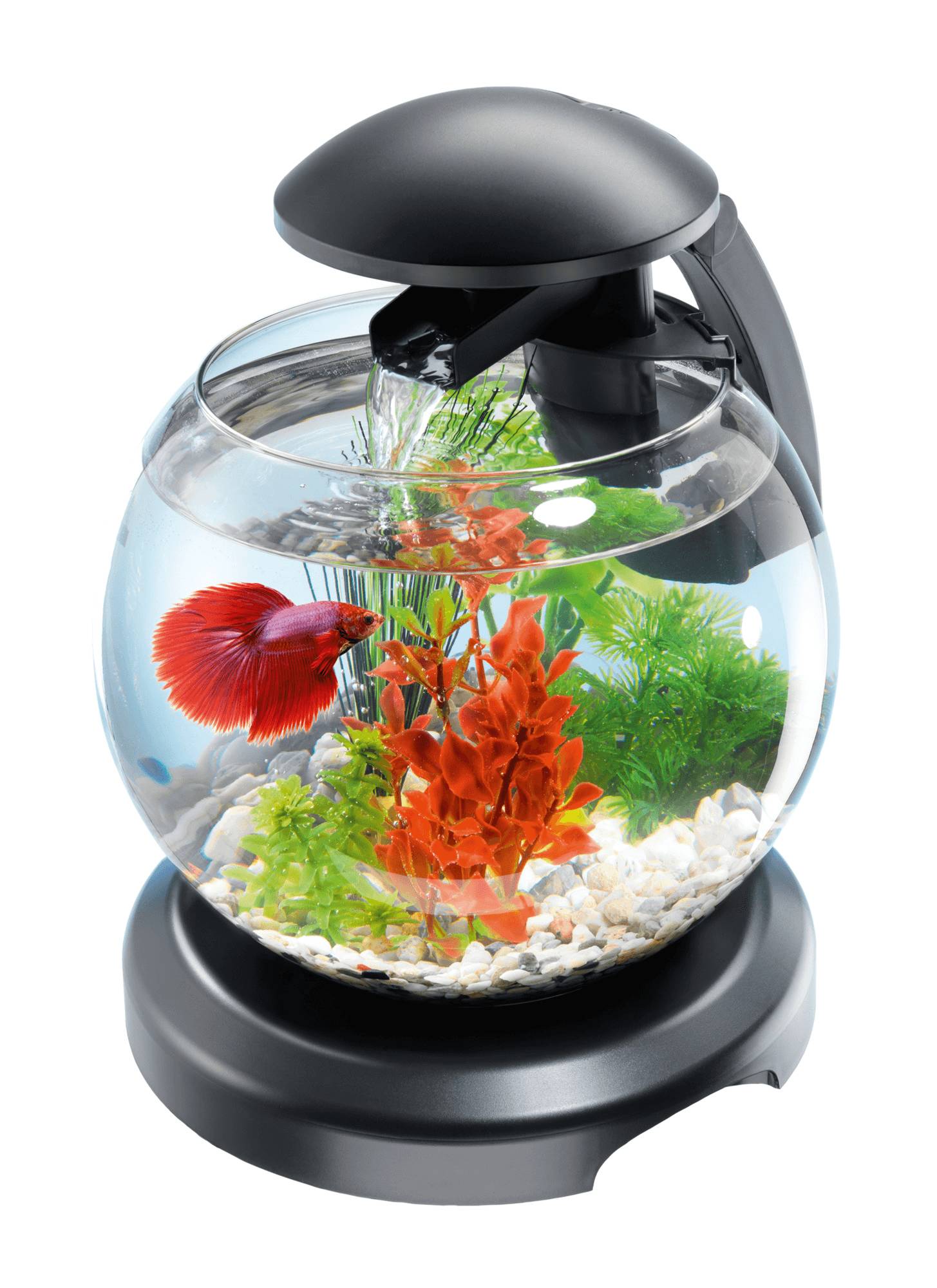 Tetra - Tetra - Aquarium en verre Cascade Globe LED noir 6,8 L - Ø27,9 cm - Image 2