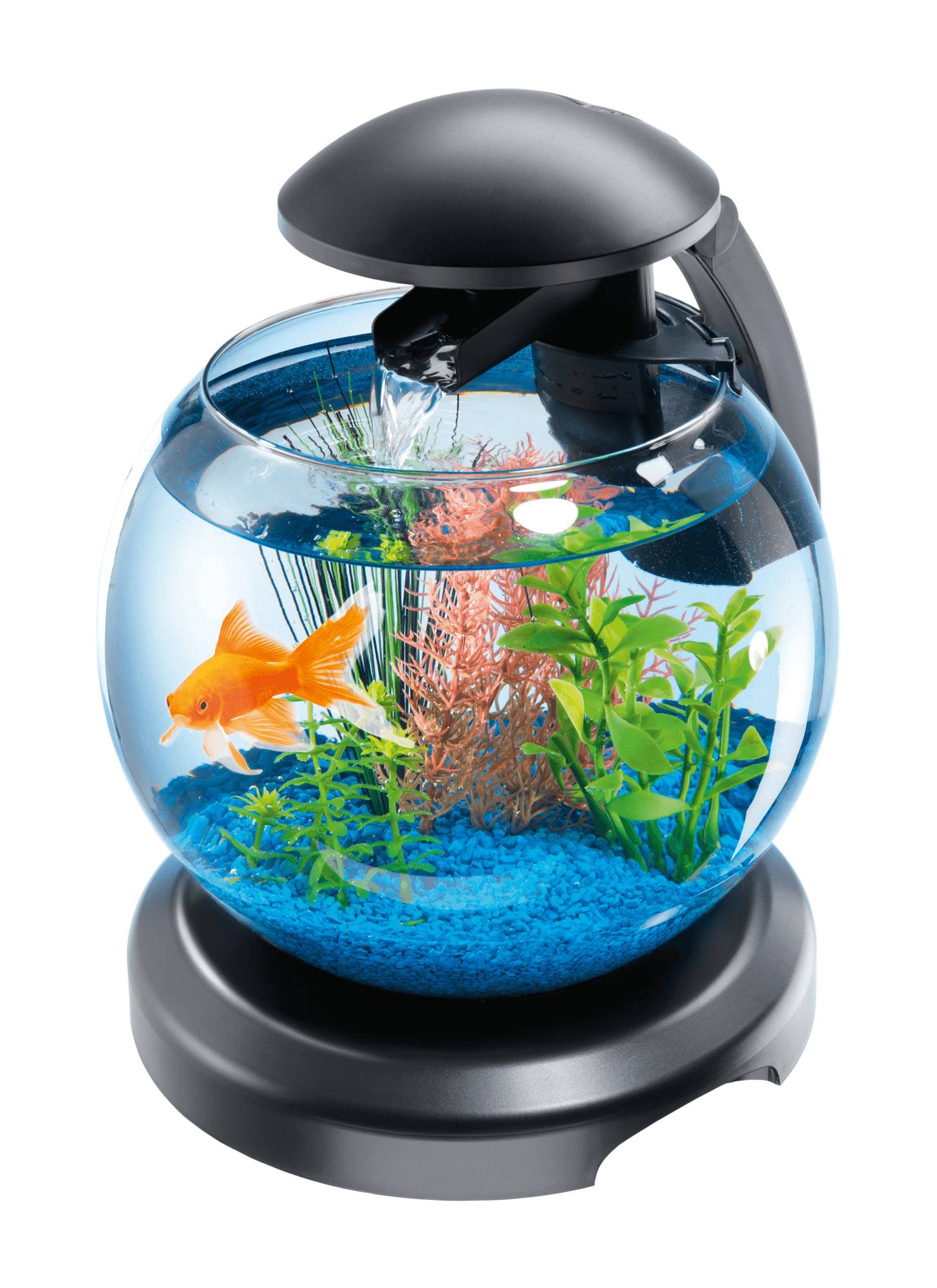 Tetra - Tetra - Aquarium en verre Cascade Globe LED noir 6,8 L - Ø27,9 cm - Image 4