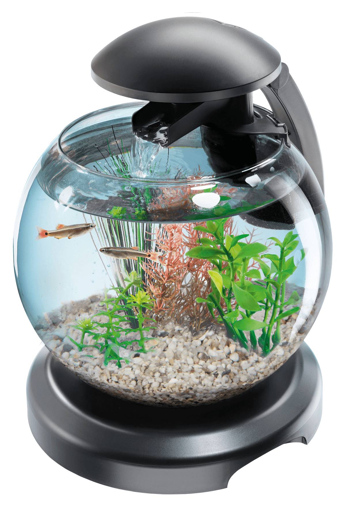 Tetra - Tetra - Aquarium en verre Cascade Globe LED noir 6,8 L - Ø27,9 cm - Image 3