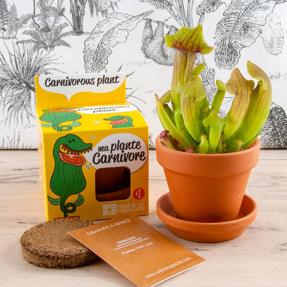 Radis et Capucine - Kit plante carnivore - RADIS ET CAPUCINE - Image 1