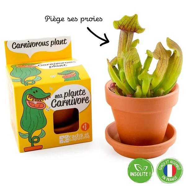 Radis et Capucine - Kit plante carnivore - RADIS ET CAPUCINE - Image 3