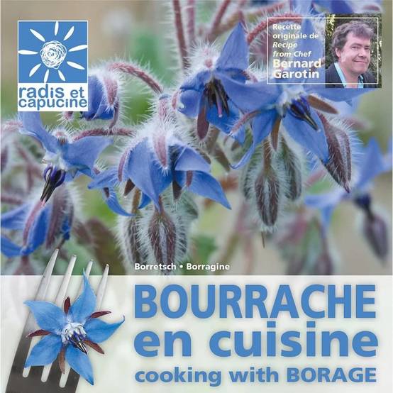 Radis et Capucine - Graines Bourrache Comestible – RADIS ET CAPUCINE - Image 3