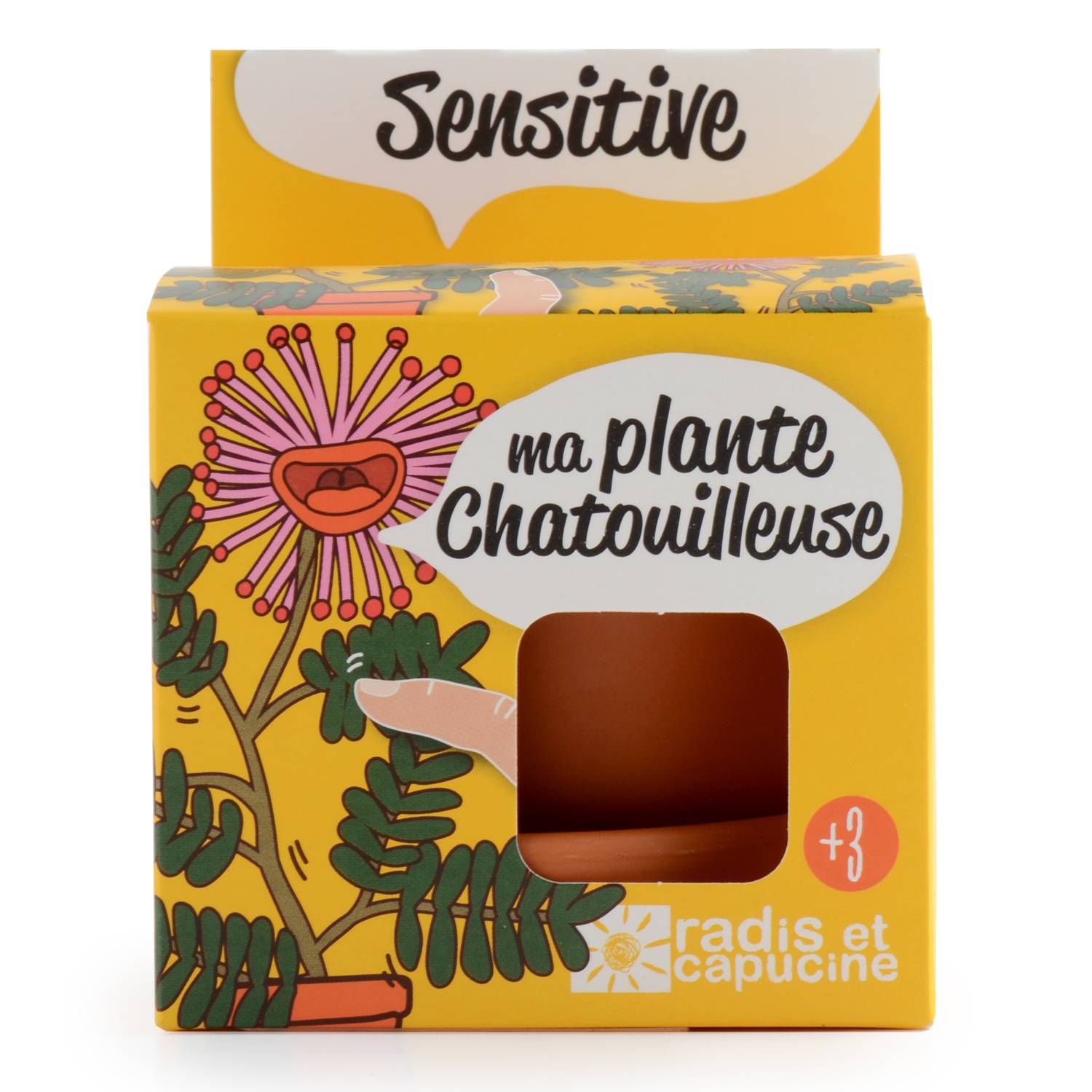 Radis et Capucine - Pot 8 cm avec coupelle Mimosa Pudica - Radis et Capucine - Image 1