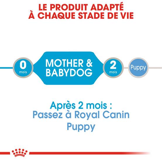Royal Canin - Aliment Chien Starter Mousse - ROYAL CANIN - Image 6