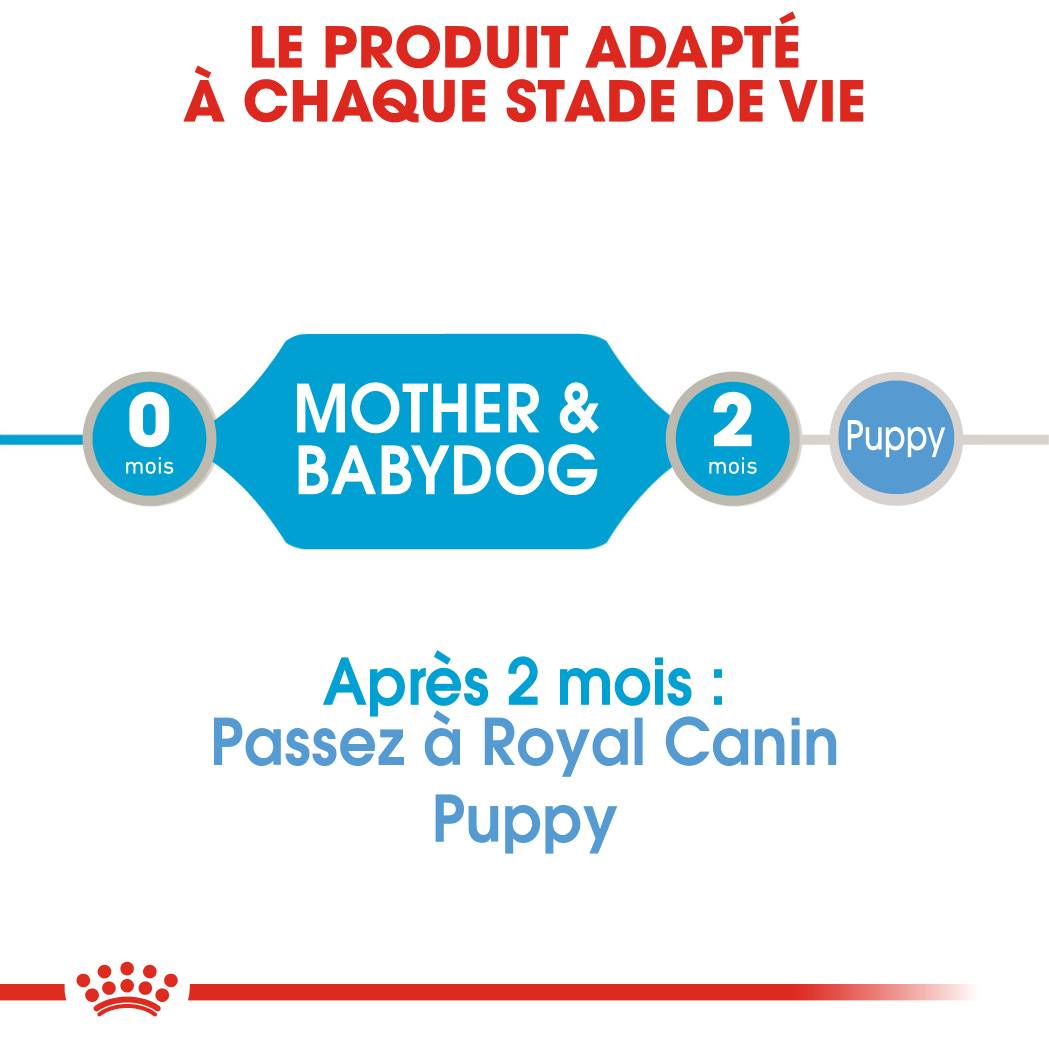 Royal Canin - Aliment Chien Starter Mousse - ROYAL CANIN - Image 6