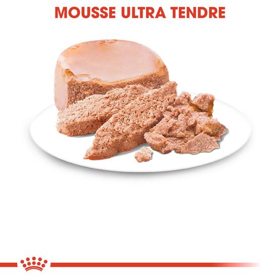 Royal Canin - Aliment Chien Starter Mousse - ROYAL CANIN - Image 4
