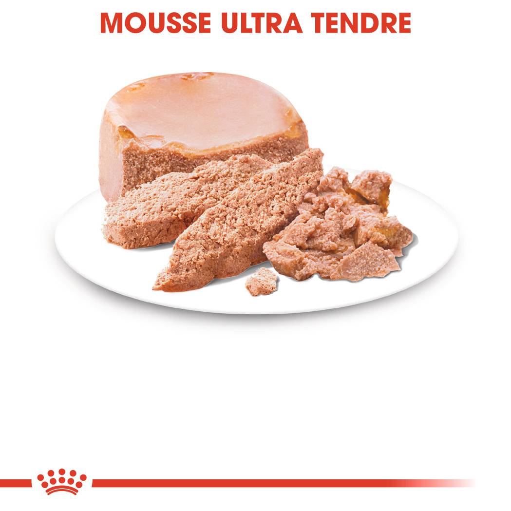 Royal Canin - Aliment Chien Starter Mousse - ROYAL CANIN - Image 4