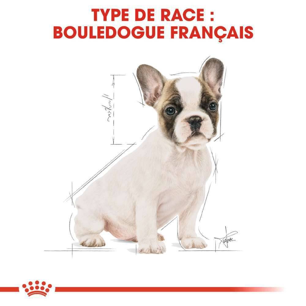 Royal Canin - Croquettes Chiot Bouledogue Français - ROYAL CANIN - Image 5