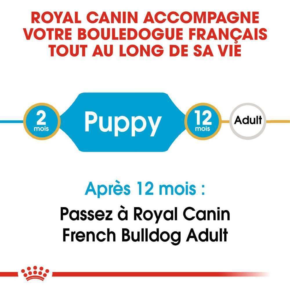 Royal Canin - Croquettes Chiot Bouledogue Français - ROYAL CANIN - Image 8