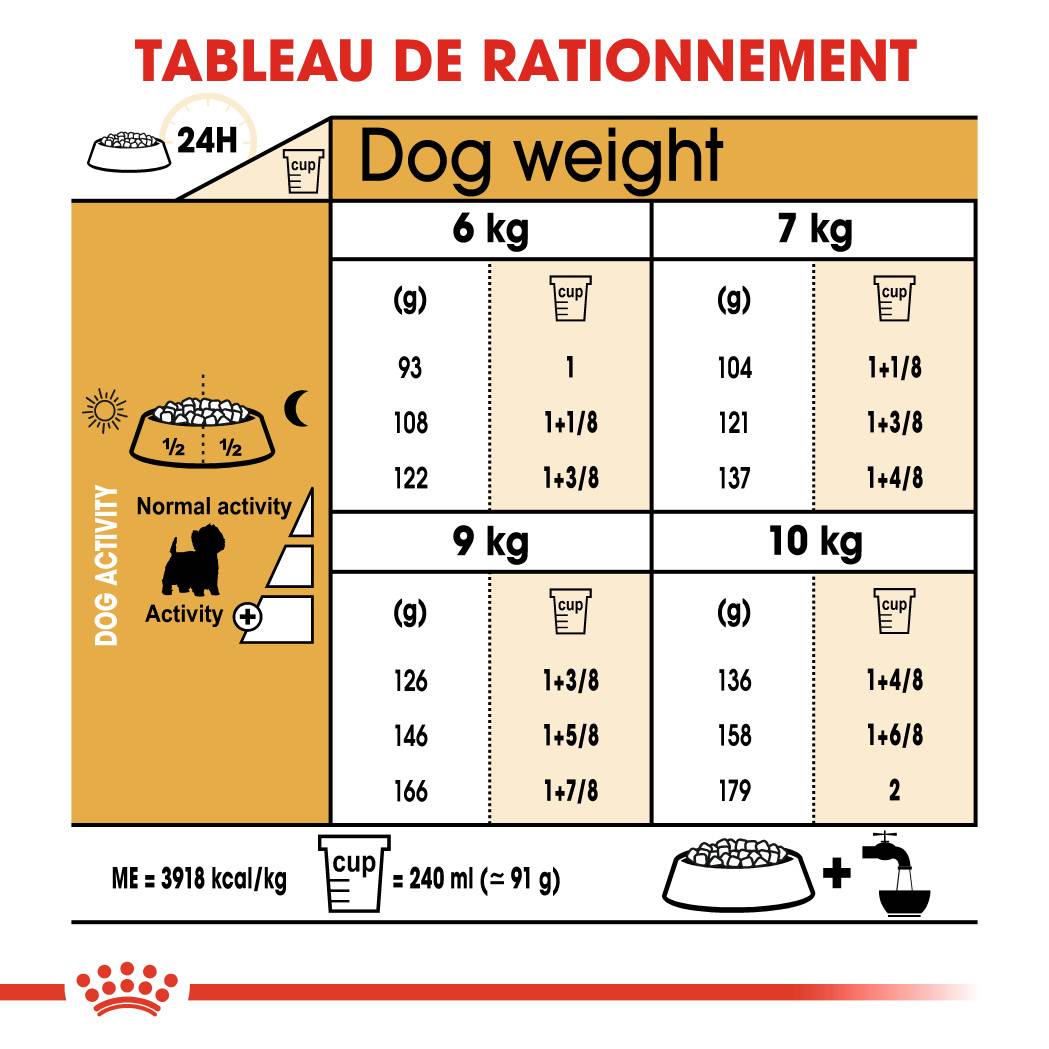 Royal Canin - Croquettes Chien Westie Adulte - ROYAL CANIN - Image 4
