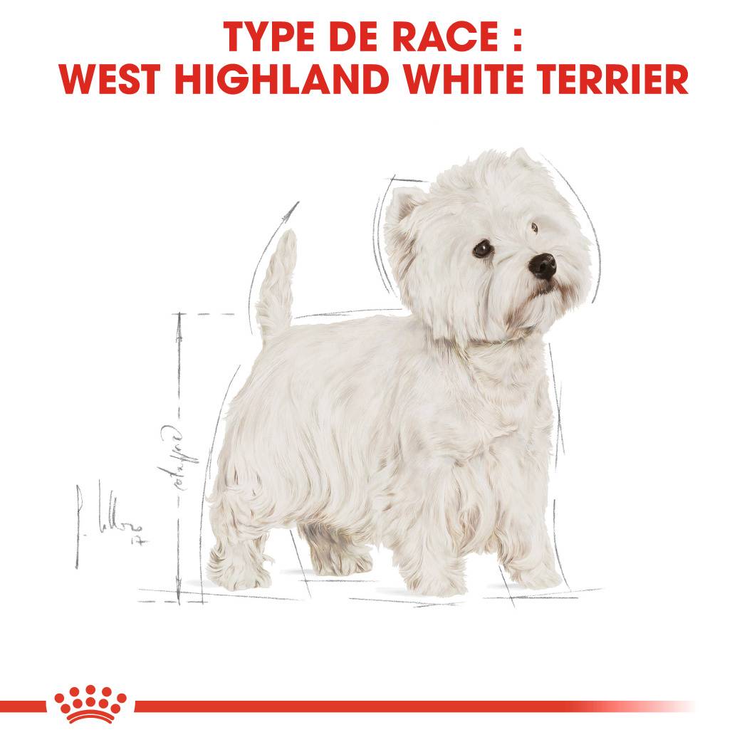 Royal Canin - Croquettes Chien Westie Adulte - ROYAL CANIN - Image 7