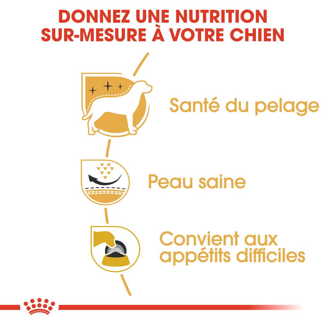 Royal Canin - Croquettes Chien Westie Adulte - ROYAL CANIN - Image 6