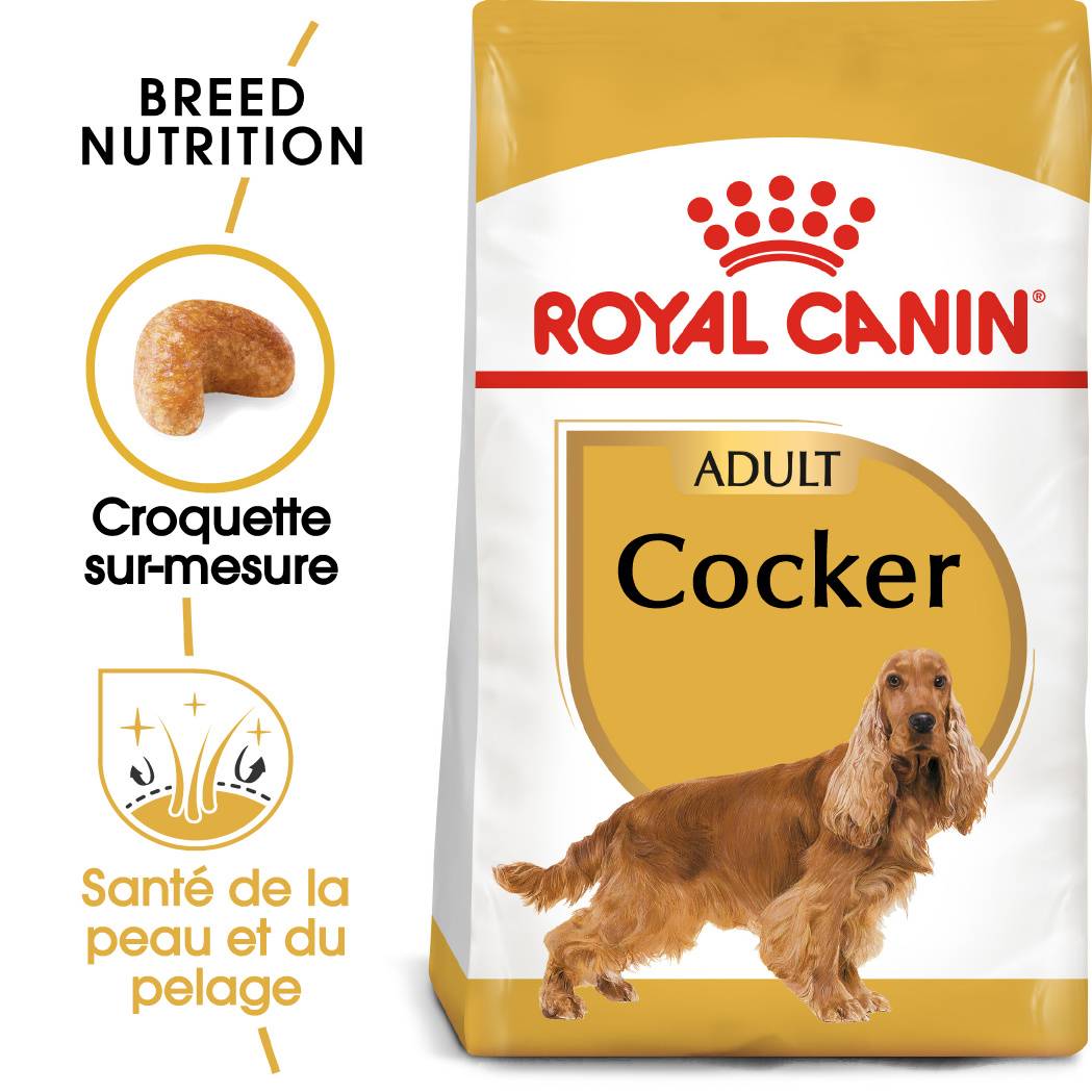 Royal Canin - Croquettes Chien Cocker Adult Volaille Riz – ROYAL CANIN - Image 1