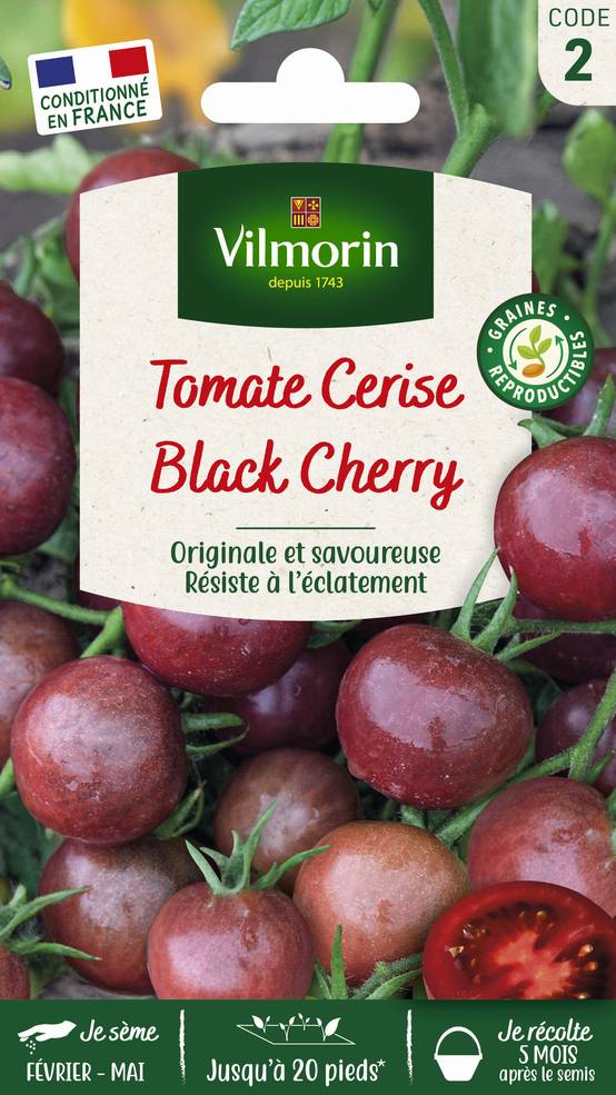 Vilmorin - Tomate Black cherry série 2 sachet graines 0,1 g - Vilmorin - Image 1