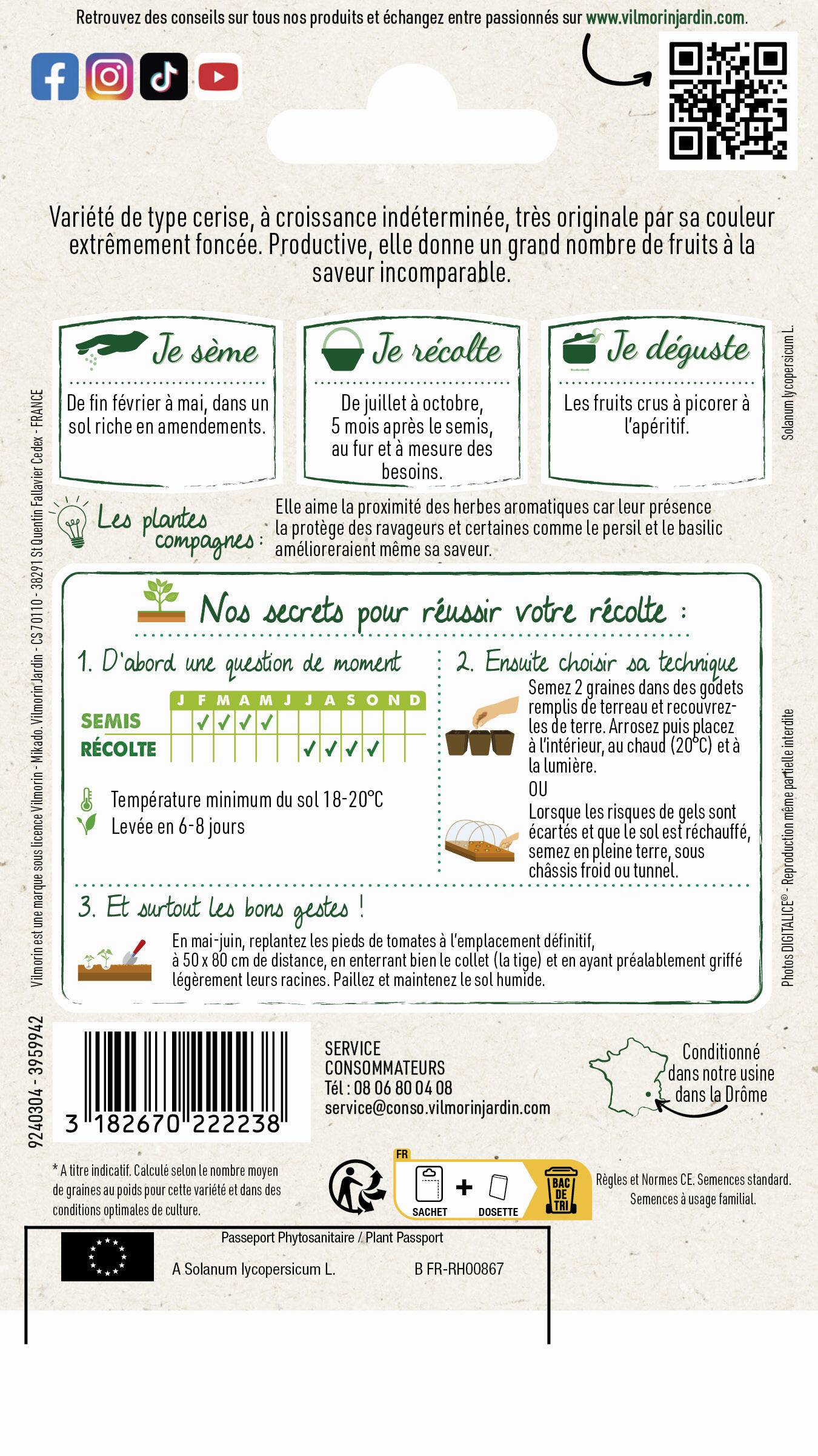 Vilmorin - Tomate Black cherry série 2 sachet graines 0,1 g - Vilmorin - Image 2
